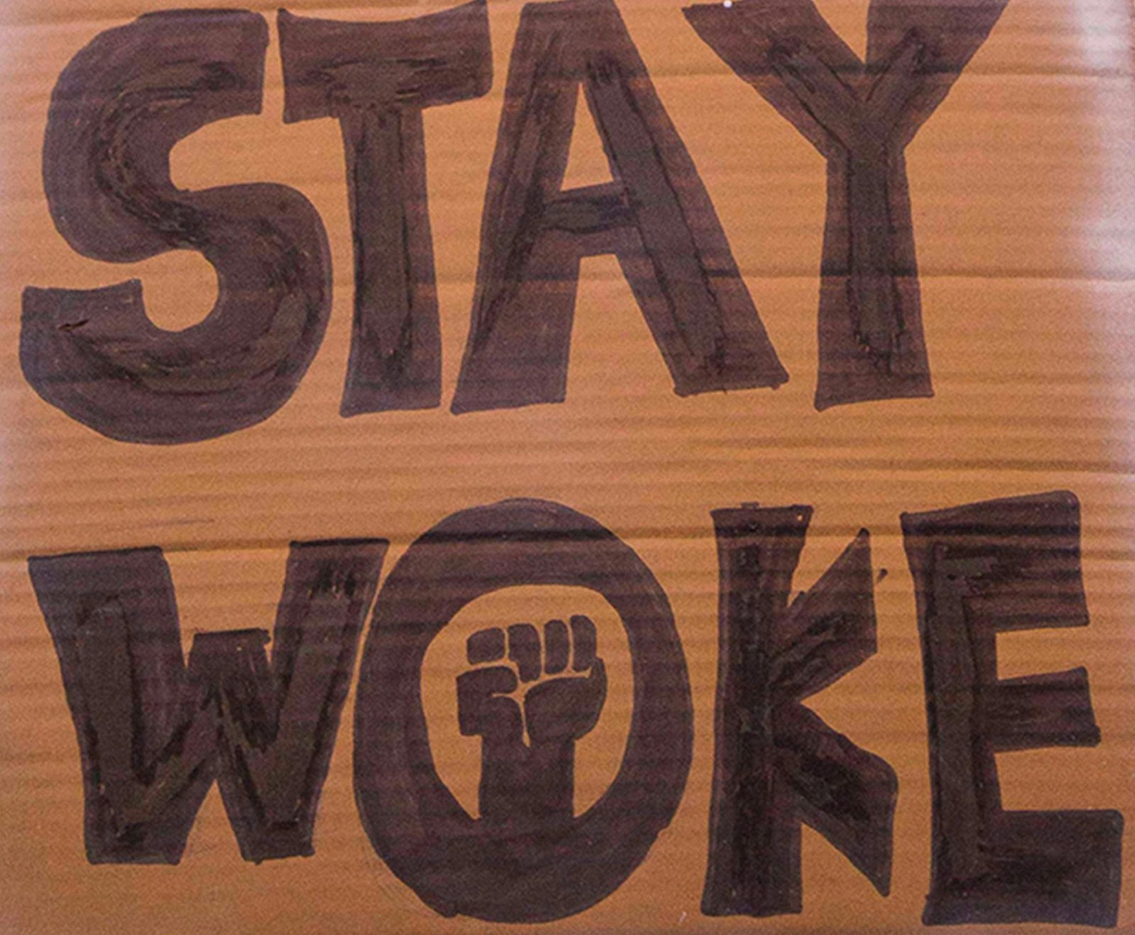 In recent years, Pakistan has seen a rise in social justice movements that have aimed to address various societal issues and bring about positive change. From women's rights to environmental conservation, these movements have sparked important conversations and mobilized communities to demand justice and equality.